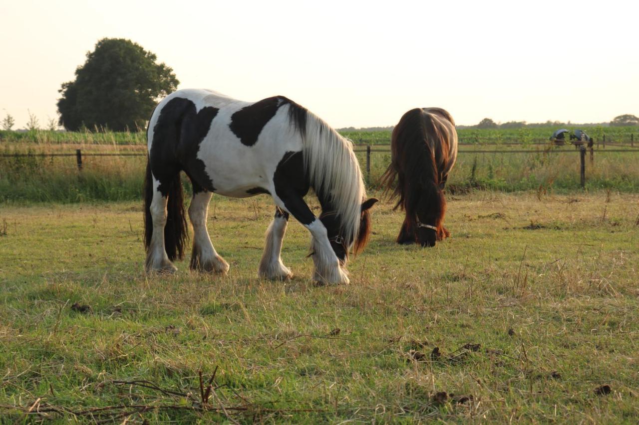 Отель Slapen Tussen De Paarden Эссен Экстерьер фото